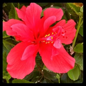 Meet your Posher, TK